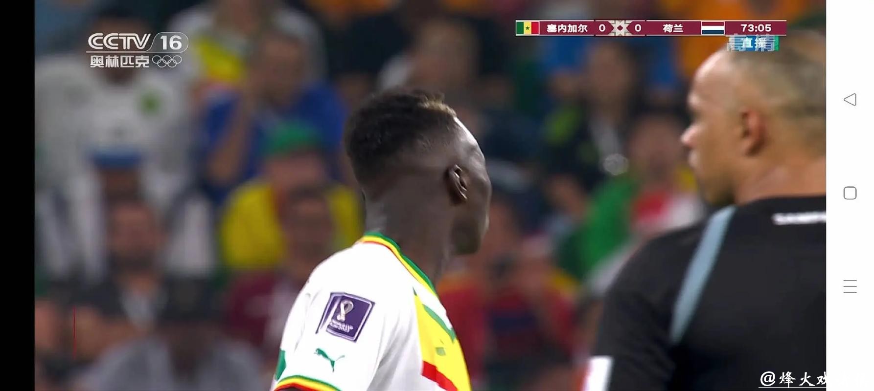 免费在线观看足球世界杯直播回放全集 免费在线观看足球世界杯直播回放全集